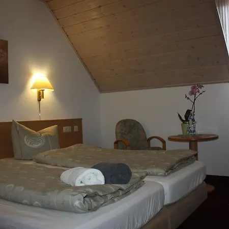 Garni Am Muehlenwoerth 2* Tauberbischofsheim